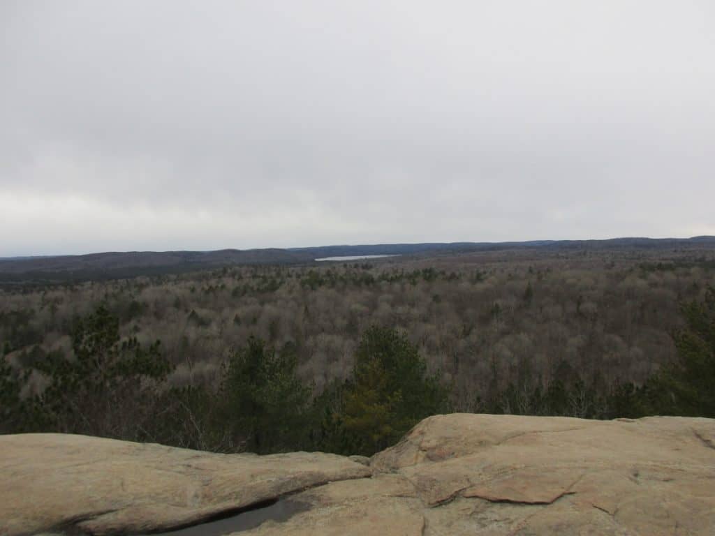 An overcast sky looms over a vast expanse of bare, leafless trees seen from the Lookout Hiking Trail in Algonquin Provincial Park. The viewpoint is on a rocky outcrop, offering a wide perspective of the undulating forest landscape that fades into the misty horizon, with hints of a distant lake adding depth and solitude to the scene.