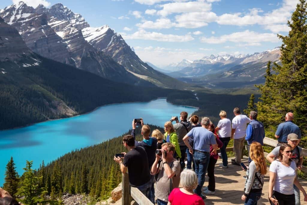 Peyto Lake along along the Icefields Parkway in Alberta