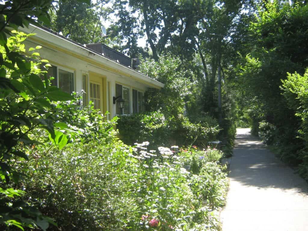 A charming yellow cottage nestled amid lush greenery on Ward's Island, Toronto Islands, with a sun-dappled path leading past blooming garden beds and towering trees, invoking a peaceful, secluded atmosphere.