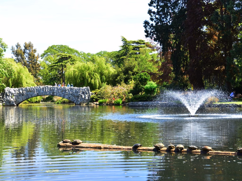 Things to Do in Victoria BC visiting Beacon Hill Park