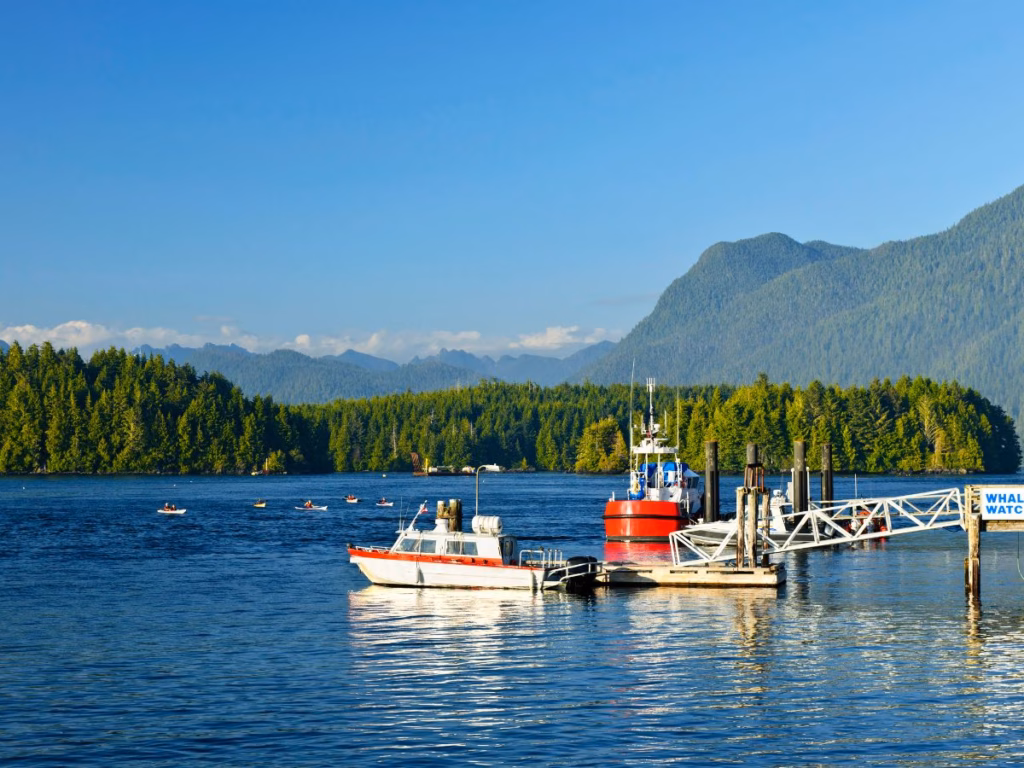 Boats in harbour in Tofino, Vancouver Island