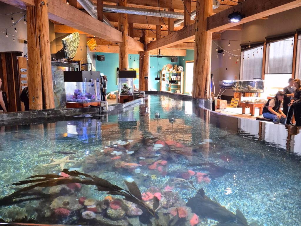 Ucluelet Aquarium