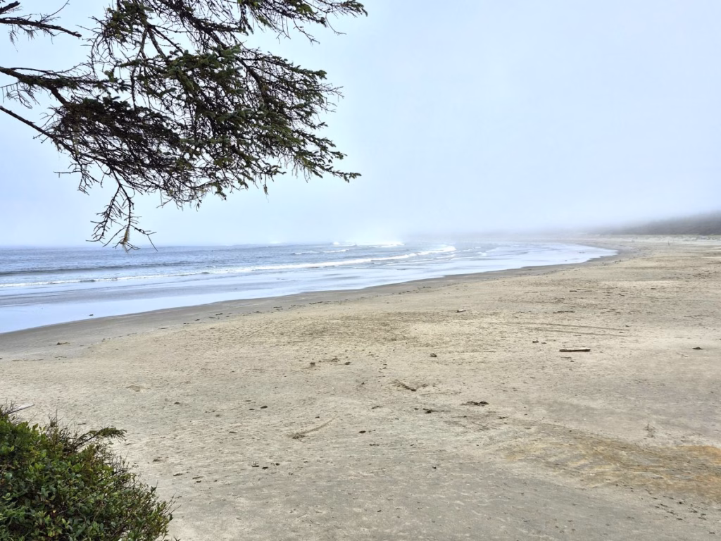 Beach in Pacific Rim National Park Reserve