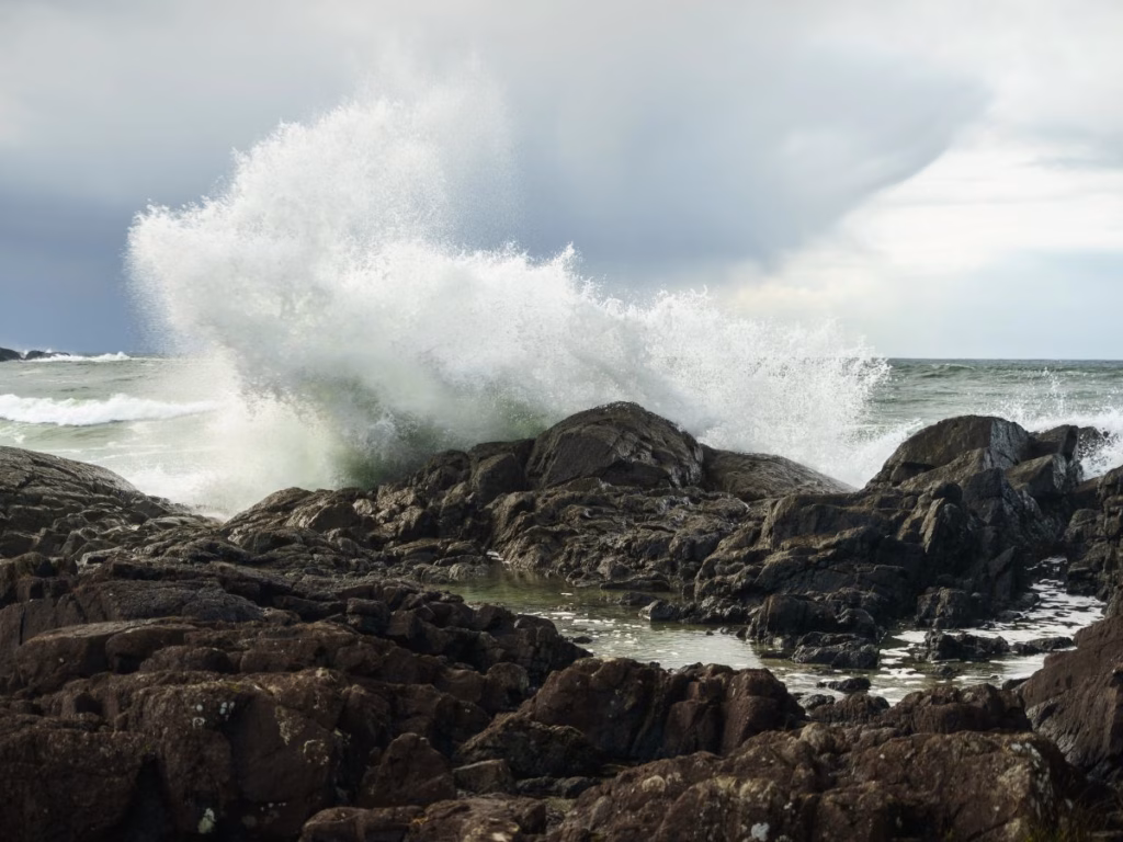 Pettinger Point in Tofino