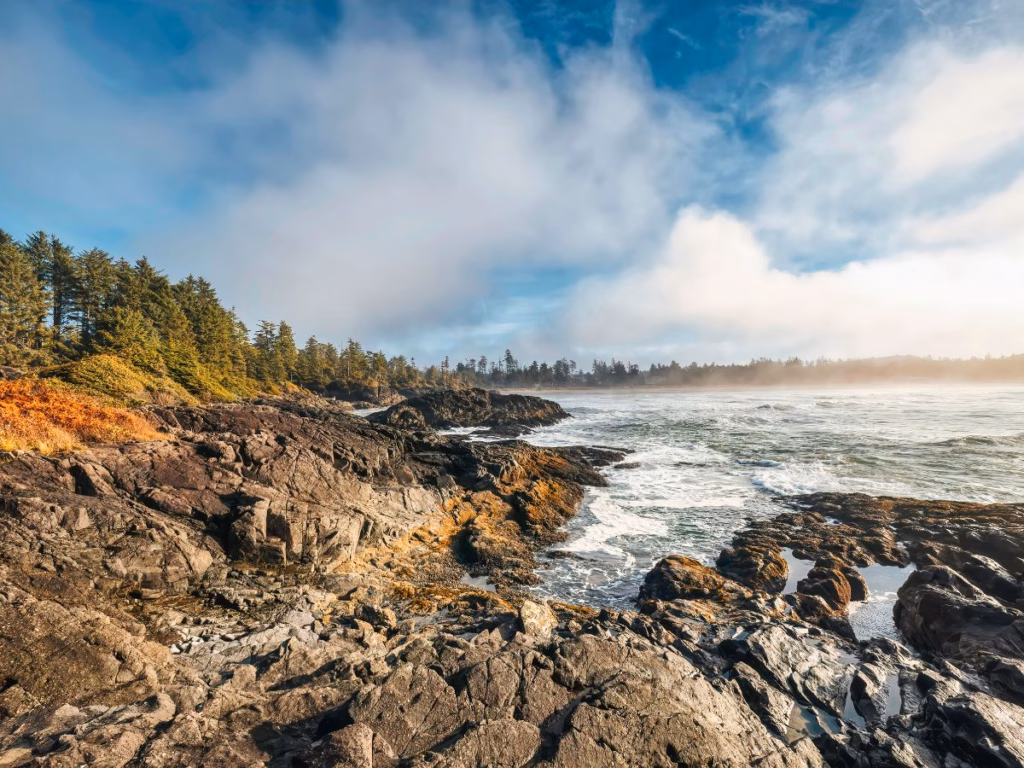 Coast of BC near Tofino