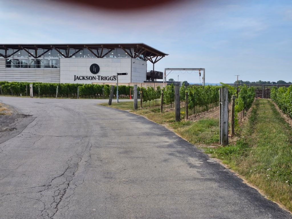 Jackson-Triggs Winery