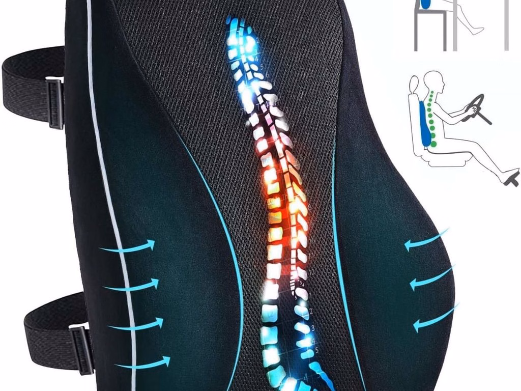 Nicceday Lumbar Support Cushion