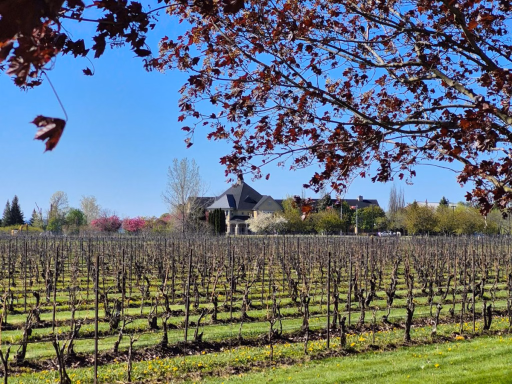 Peller Winery