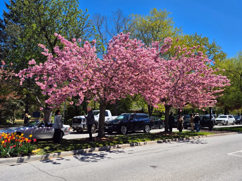 Queen Street in Niagara-on-the-Lake
