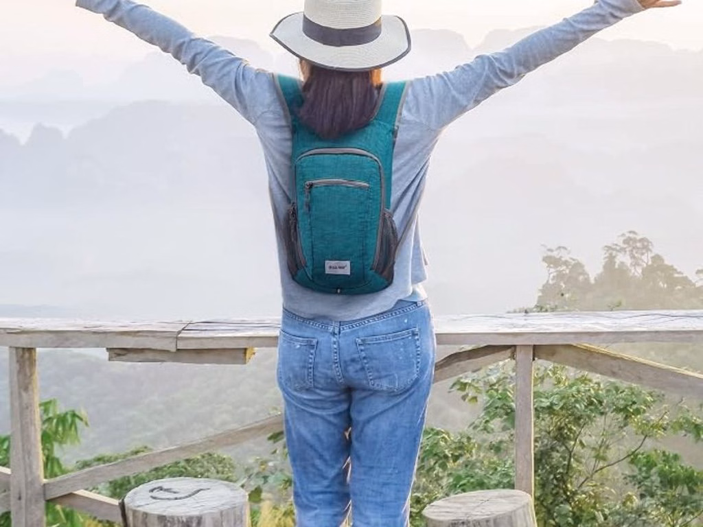 Safer Chemicals Small Daypack
