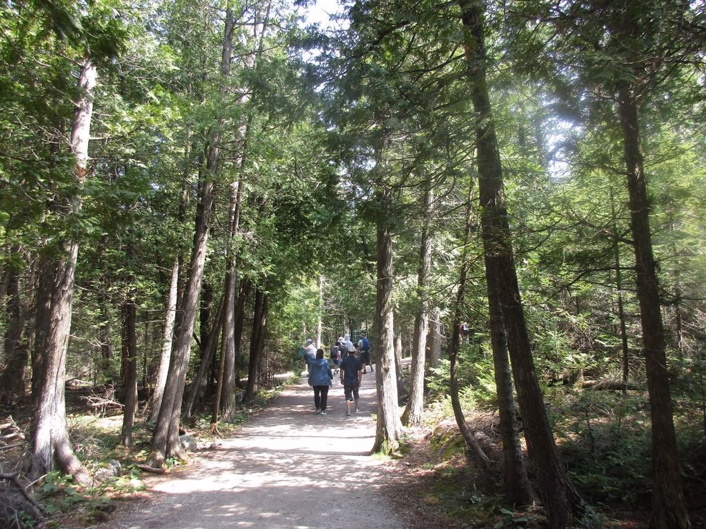 Georgian Bay Trail to Grotto in Bruce Peninsula National Park