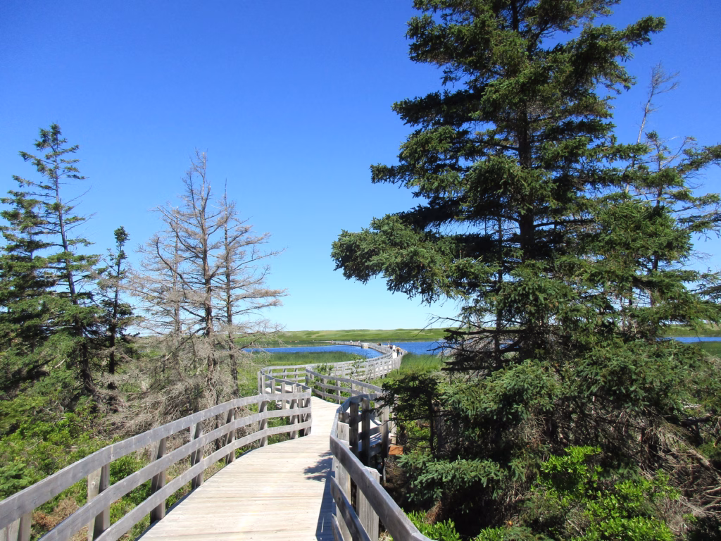 Greenwich Dunes Trail, PEI