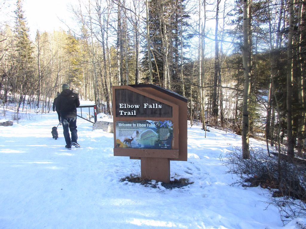Walking the Elbow Falls Trail in Winter